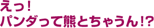 えっ!パンダって熊とちゃうん!?